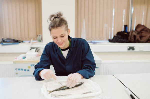 Marine Science Courses